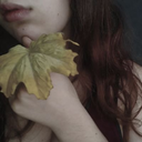 noctes-arcanae-blog avatar