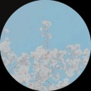 noctilucentclouds avatar