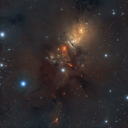 noctiscollective avatar