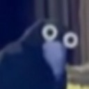 nocturnal-rust avatar