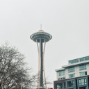 nocturnal-xox avatar