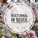 nocturnalinseoul avatar