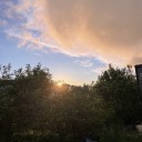 nocturnalmarmalade avatar