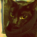 nocturnalsaturn avatar