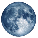 nocturnalstarz avatar