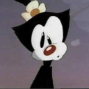 nocturnaltrashjester avatar