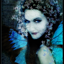 nocturnalwrites avatar