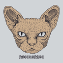 nocturnart-mandar avatar