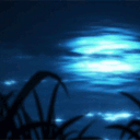 nocturnedreamers avatar