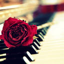 nocturneofsolace avatar