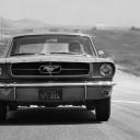 noddleandmoles avatar