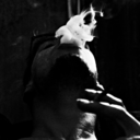 noddy-jahlove avatar