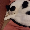 nodecisionspls avatar