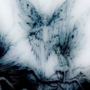 nodobyy avatar