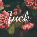 noeisloud3004 avatar