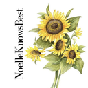 noelleknowsbest avatar