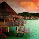 noellekroeger avatar