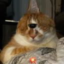 noelletronics avatar