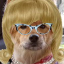 noezialee-blog avatar