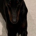 nofacenocaseeee avatar