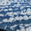 nofaces-world avatar