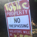 nofriendsaloud avatar