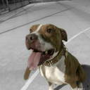 nohasdevernada avatar