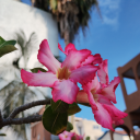 nohaycomentarios avatar