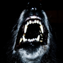 noideawutimdoing avatar