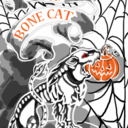 noirbonecat avatar