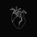 noircir-mon-coeur avatar