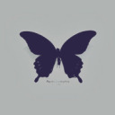 noirnightmxre avatar