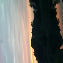 noirpineapple avatar