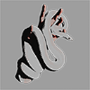 noirstained avatar