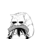 noise-bakovic avatar