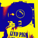 noiseneverends avatar