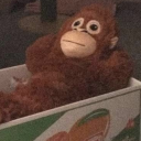 noisenoisenoise1 avatar