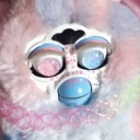 noisyfurby avatar