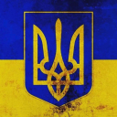 noisykoalapersona avatar