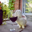 noisyoafbanditperson-blog avatar