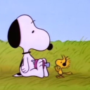 noitestrelada avatar