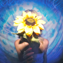 nokoooks-blog avatar