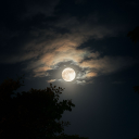 noktalardabulusalim avatar