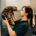 noktamsi-ama-net avatar