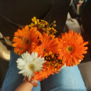 nolaphingmatter avatar