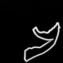 nomadicproverb avatar