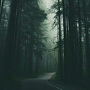 nomadicx-blog1 avatar