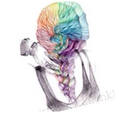 nomatestussue-os avatar