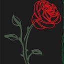 nomeinsensato avatar