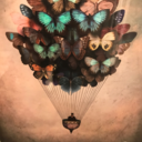 nominominic129 avatar